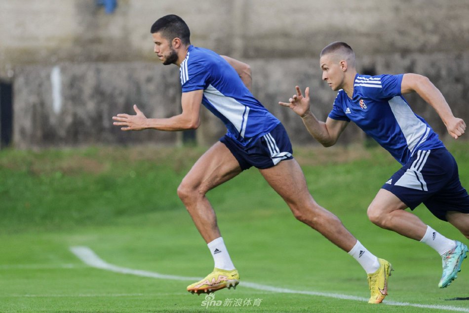 文化和社会 文化和社会